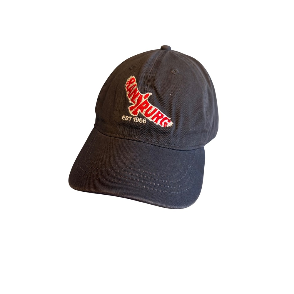 Gray Lynchburg Eagle Est 1966 Graphic Adjustable Dad Hat